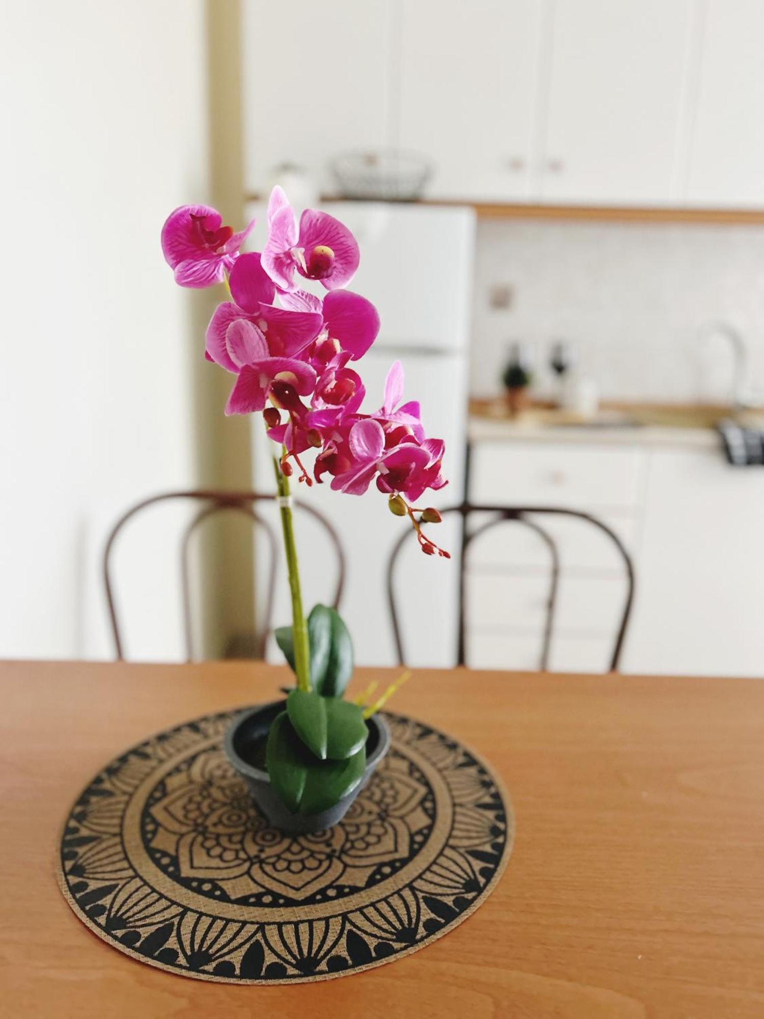 Apartamento Hermanos